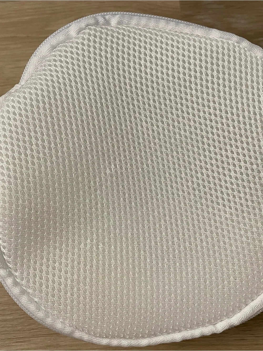 The Container Store Mesh Laundry Bra Bag